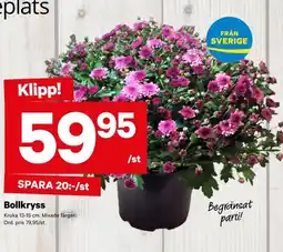 City Gross Bollkryss erbjuda
