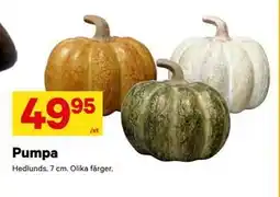 City Gross Pumpa erbjuda