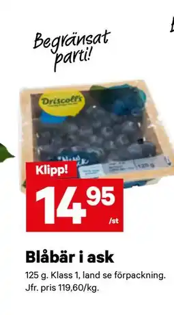 City Gross Blåbär i ask erbjuda