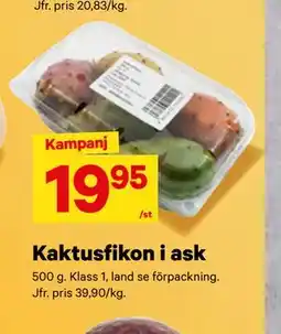 City Gross Kaktusfikon i ask erbjuda