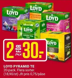 ÖoB Loyd pyramid te erbjuda
