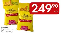 Snabbgross Lotus Jasminris erbjuda