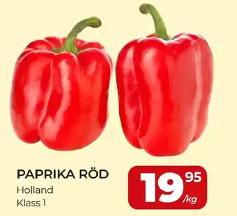 Paprika röd
