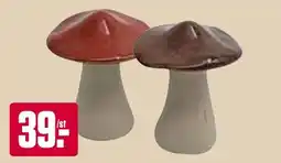 ÖoB Mushroom erbjuda