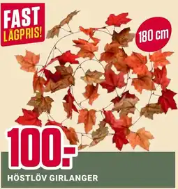 ÖoB Höstlöv gırlanger erbjuda