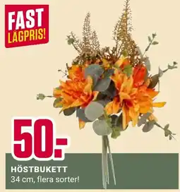 ÖoB Höstbukett erbjuda