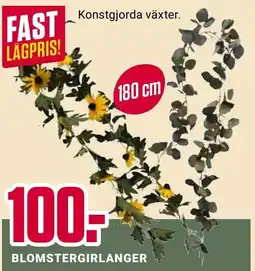 ÖoB Blomstergirlanger erbjuda