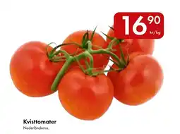 Snabbgross Kvisttomater erbjuda