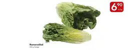 Snabbgross Romansallad erbjuda