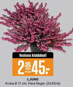 ÖoB Ljung erbjuda