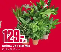 ÖoB Gröna växter mix erbjuda