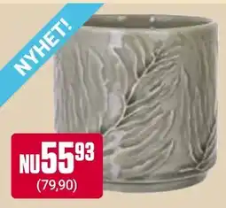 ÖoB Nyhet! erbjuda