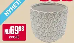 ÖoB Kruka erbjuda