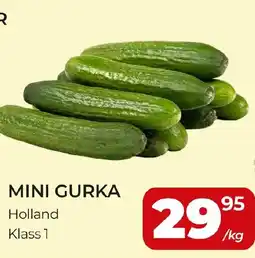 Matrix Butikerna Mini Gurka erbjuda