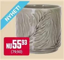 ÖoB NYHET! erbjuda