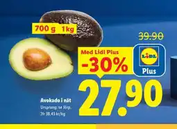 Lidl Avokado i nät erbjuda