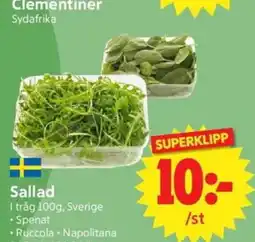 Nya Pulsen Clementiner Sallad erbjuda