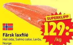 Nya Pulsen Färsk laxfilé erbjuda