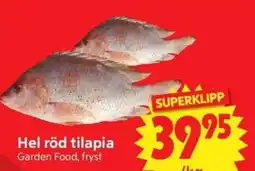 Nya Pulsen Garden Food hel röd tilapia erbjuda