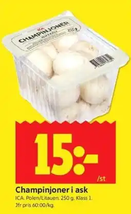 ICA Kvantum Champinjoner i ask erbjuda