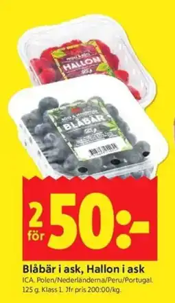 ICA Kvantum Blåbär i ask, Hallon i ask erbjuda