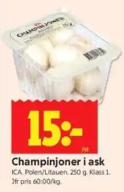 ICA Kvantum Champinjoner i ask erbjuda