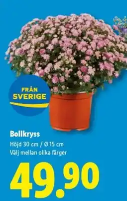 Lidl Bollkryss erbjuda