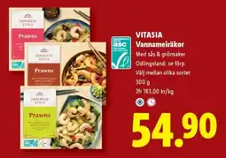 Lidl Vitasia vannameiräkor erbjuda