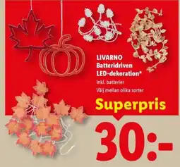 Lidl Livarno led-dekoration erbjuda