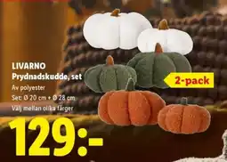 Lidl Livar no prydnadskudde set erbjuda