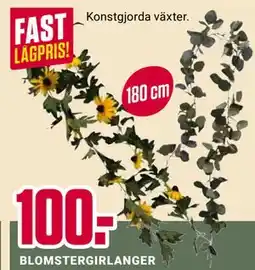 ÖoB BLOMSTERGIRLANGER erbjuda