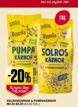 ÖoB SOLROSKÄRNOR & PUMPAKÄRNOR erbjuda