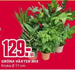 ÖoB GRÖNA VÄXTER MIX erbjuda