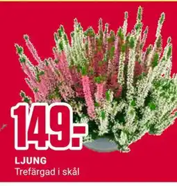 ÖoB LJUNG erbjuda