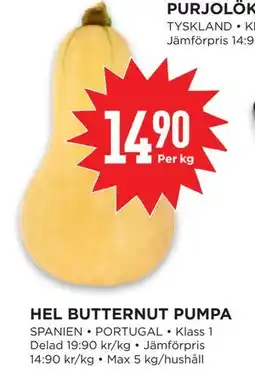 Willys HEL BUTTERNUT PUMPA erbjuda