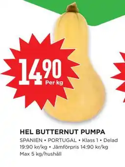 Willys Hemma HEL BUTTERNUT PUMPA erbjuda