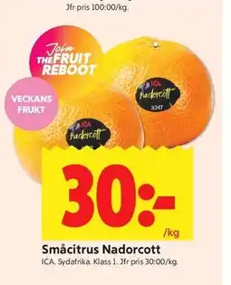 ICA Kvantum Småcitrus Nadorcott erbjuda