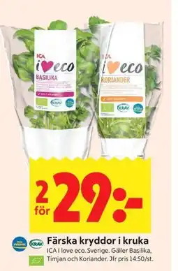 ICA Kvantum Färska kryddor i kruka erbjuda