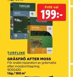 Jem&Fix GRÄSFRÖ AFTER MOSS erbjuda
