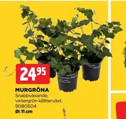 Jem&Fix MURGRÖNA erbjuda