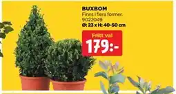 Jem&Fix BUXBOM erbjuda