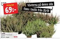 Jem&Fix LJUNG erbjuda