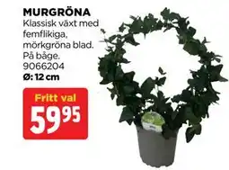 Jem&Fix MURGRÖNA erbjuda