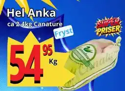 Supergrossen Hel Anka erbjuda