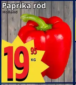 Supergrossen Paprika röd erbjuda
