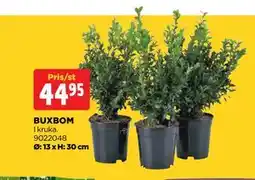 Jem&Fix BUXBOM erbjuda