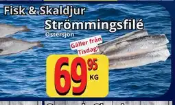 Supergrossen Strömmingsfilé erbjuda