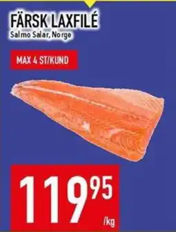 Matdax Färsk laxfilé erbjuda