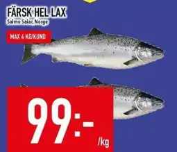 Matdax Färsk hel lax erbjuda