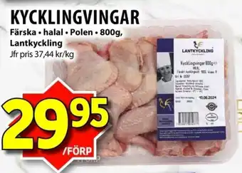 Lantkyckling kycklingvingar